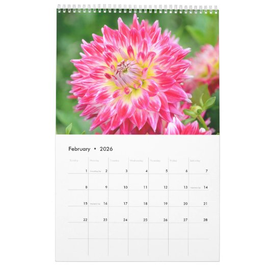 12 maanden prachtige Dahlia-fotokalender Kalender (Feb 2026)