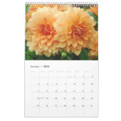 12 maanden prachtige Dahlia-fotokalender Kalender (Jan 2026)