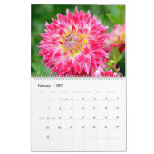 12 maanden prachtige Dahlia-fotokalender Kalender (Feb 2027)