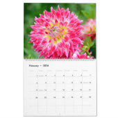 12 maanden prachtige Dahlia-fotokalender Kalender (Feb 2026)