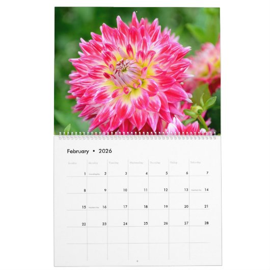 12 maanden prachtige Dahlia-fotokalender Kalender (Feb 2026)
