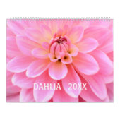 12 maanden prachtige Dahlia-fotokalender Kalender (Hoes)