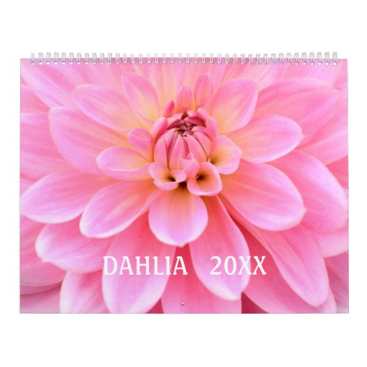 12 maanden prachtige Dahlia-fotokalender Kalender (Hoes)