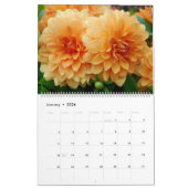 12 maanden prachtige Dahlia-fotokalender Kalender (Jan 2026)