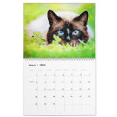 12 maanden Prachtige Siamese katten Waterverf schi Kalender (Mar 2026)