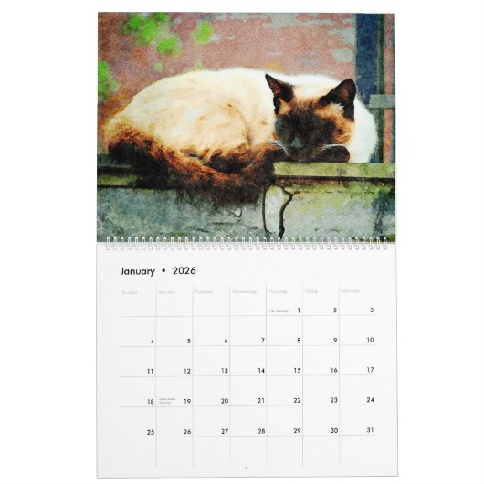 12 maanden Prachtige Siamese katten Waterverf schi Kalender (Jan 2026)