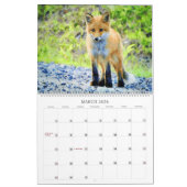 12 maanden - Red Fox Waterverf Paintings Wildlife Kalender (Mar 2026)