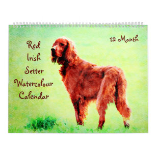 12 maanden Red Irish Setter Dog Waterverf Painting Kalender