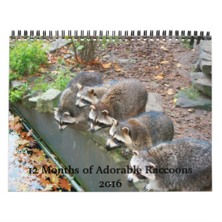 12 Maanden Schattig Raccoons Agenda 2016 Kalender