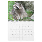 12 Maanden Schattig Raccoons Agenda 2016 Kalender (Mar 2026)