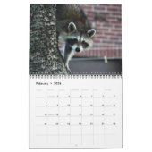 12 Maanden Schattig Raccoons Agenda 2016 Kalender (Feb 2026)