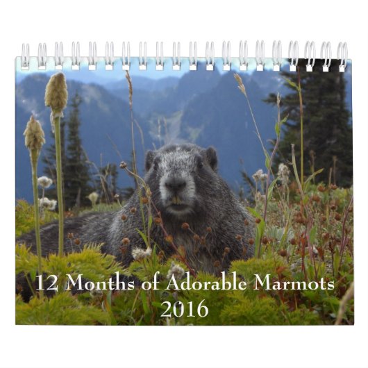 12 maanden Schattige agenda 2016 Kalender (Hoes)