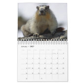 12 maanden Schattige agenda 2016 Kalender (Jan 2027)