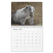 12 maanden Schattige agenda 2016 Kalender (Feb 2027)