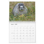 12 maanden Schattige agenda 2016 Kalender (Mar 2027)