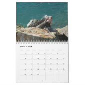 12 maanden tropische fotografie, 2e editie kalender (Mar 2026)