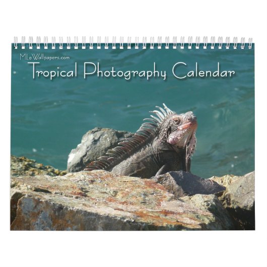 12 maanden tropische fotografie, 2e editie kalender (Hoes)