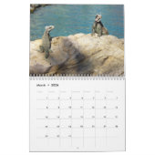 12 maanden tropische fotografie, vierde editie kalender (Mar 2026)