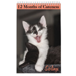 12 maanden van Cuteness Kittens Siblings Kalender