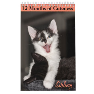 12 maanden van Cuteness Kittens Siblings Kalender