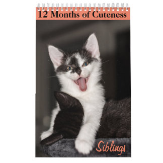 12 maanden van Cuteness Kittens Siblings Kalender