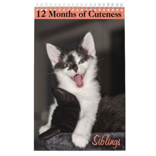 12 maanden van Cuteness Kittens Siblings Kalender (Hoes)