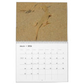 12 maanden van dieren en in het wild levende diere kalender (Mar 2026)