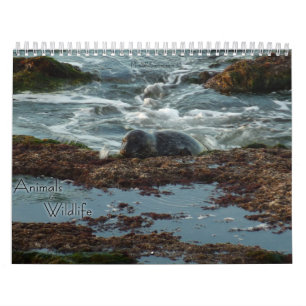 12 Maanden van Dieren en Wildlife Edition 3 Kalender