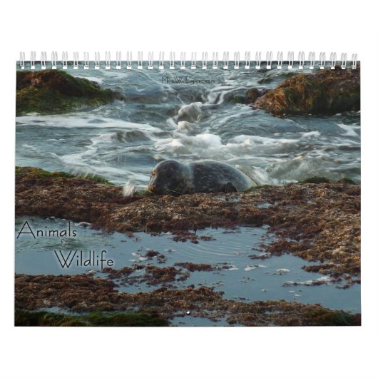 12 Maanden van Dieren en Wildlife Edition 3 Kalender (Hoes)