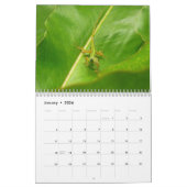 12 Maanden van Dieren en Wildlife Edition 3 Kalender (Jan 2026)