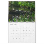 12 Maanden van Dieren en Wildlife Edition 3 Kalender (Mar 2027)