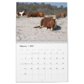 12 Maanden van Dieren en Wildlife Edition 3 Kalender (Feb 2027)