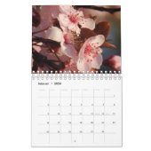 12 maanden van het Nederlandse/Nederlandse Jaar ka Kalender (Feb 2026)