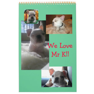 12 maanden van M.K, Schattige Kalender Frenchie!!