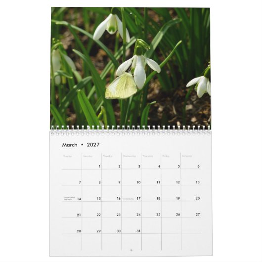 12 Maanden van Mooie Vlinders Kalender (Mar 2027)