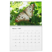 12 Maanden van Mooie Vlinders Kalender (Feb 2027)