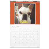 12 maanden van Mr K, Schattig Frenchie Calendar!! Kalender (Mar 2027)