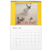 12 maanden van Mr K, Schattig Frenchie Calendar!! Kalender (Feb 2027)