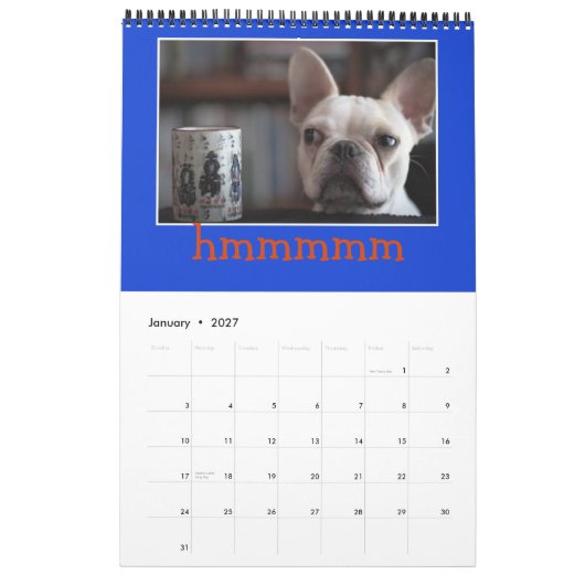 12 maanden van Mr K, Schattig Frenchie Calendar!! Kalender (Jan 2027)