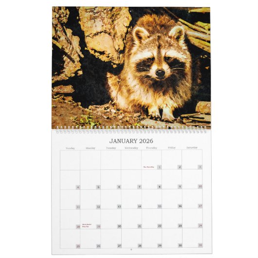 12 maanden Waterverf Raccoon Wildlife Painting Art Kalender (Jan 2026)