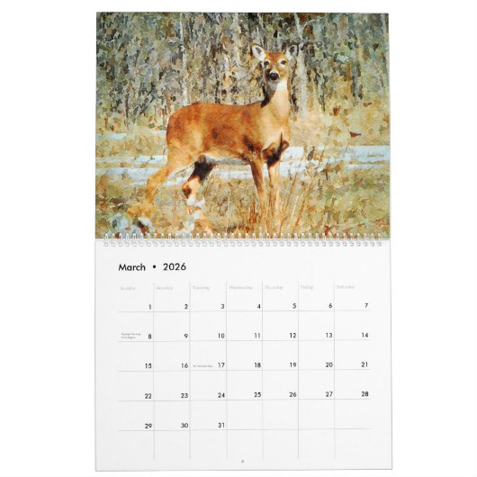 12 maanden - Whitetail Deer Waterverf Wildlife Art Kalender (Mar 2026)