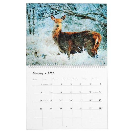 12 maanden - Whitetail Deer Waterverf Wildlife Art Kalender (Feb 2026)