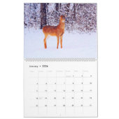 12 maanden - Whitetail Deer Waterverf Wildlife Art Kalender (Jan 2026)