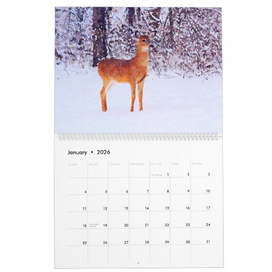 12 maanden - Whitetail Deer Waterverf Wildlife Art Kalender (Jan 2026)