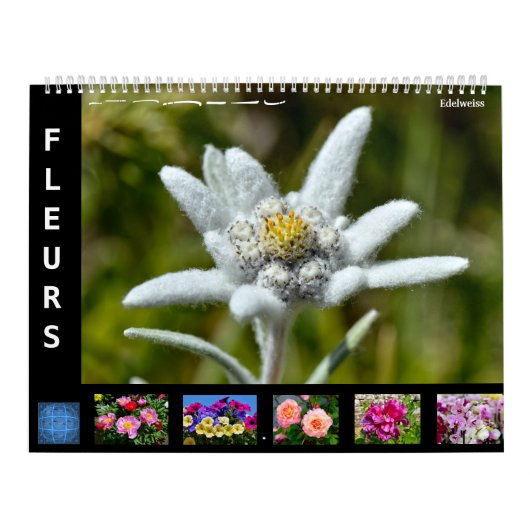 12-maandenkalender van verschillende bloemen kalender (Hoes)