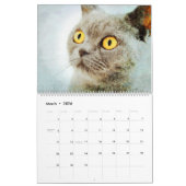 12-maandenlange Waterverf van Birmese katten art. Kalender (Mar 2026)