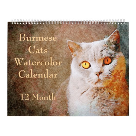 12-maandenlange Waterverf van Birmese katten art. Kalender (Hoes)