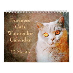 12-maandenlange Waterverf van Birmese katten art. Kalender