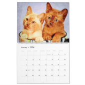 12-maandenlange Waterverf van Birmese katten art. Kalender (Jan 2026)