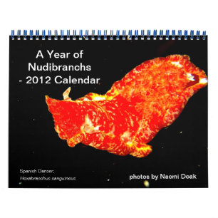 12 maandkalender die foto's van Nudibranchs Kalender